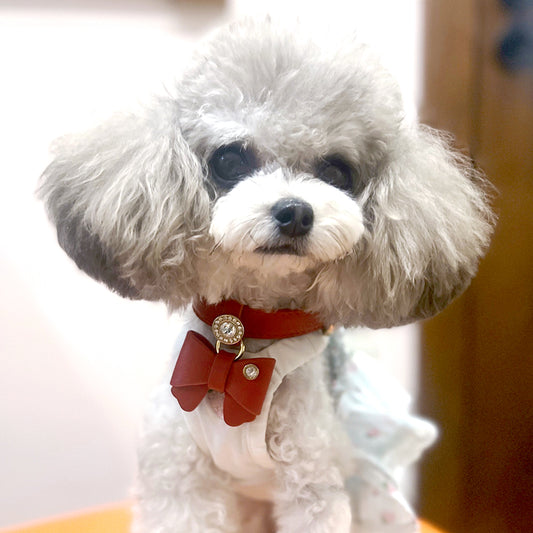 Dog Collar - Bow tie