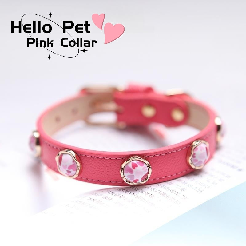 Dog Collars - Pink, Blue
