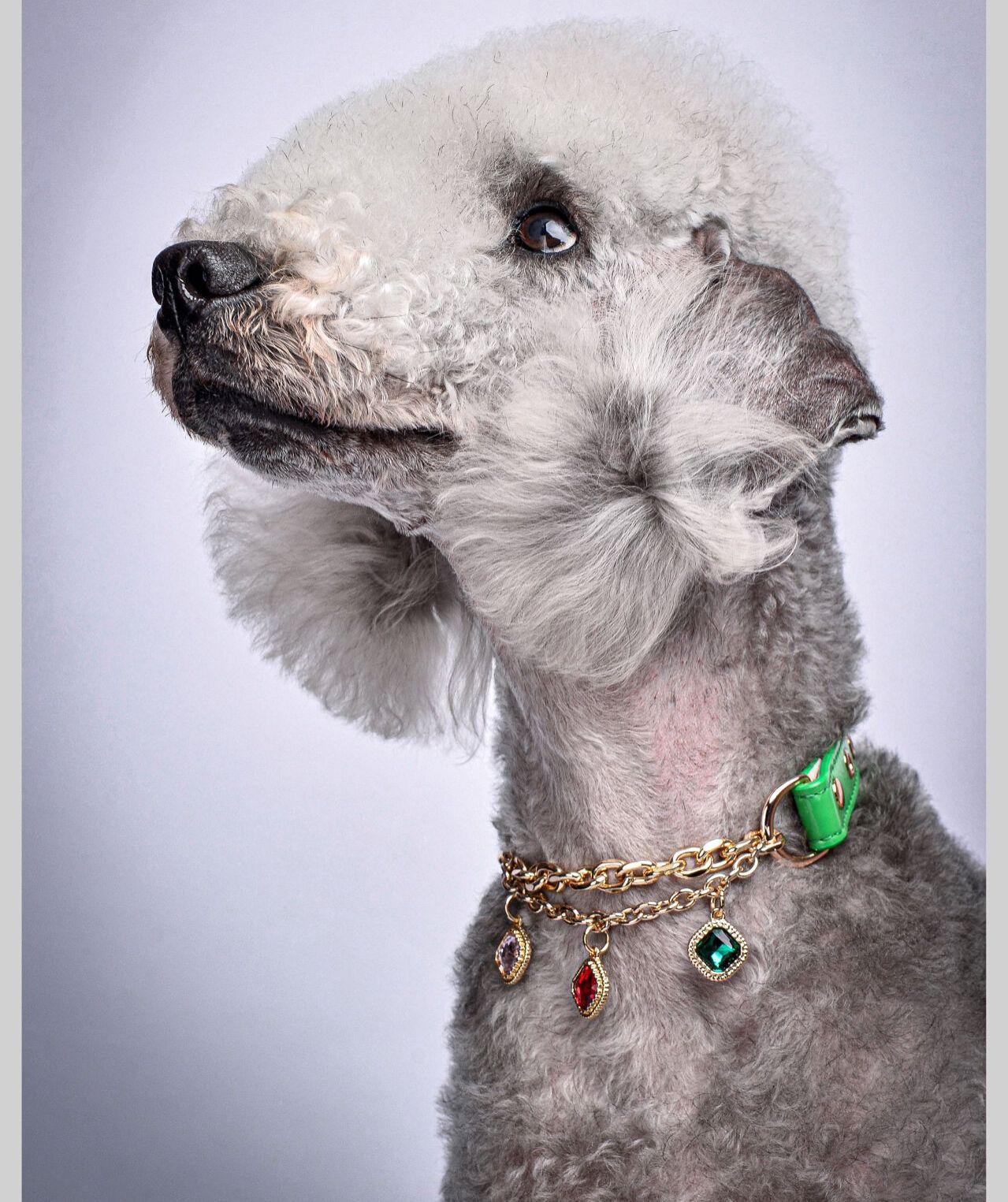 Leather Dog Collar - 3 Diamond